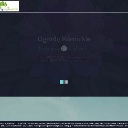 Zakładanie terenów zielonych w Poznaniu