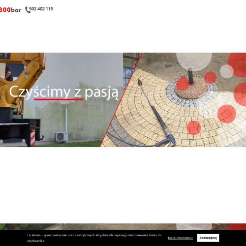 Mycie elewacji budynków Poznań