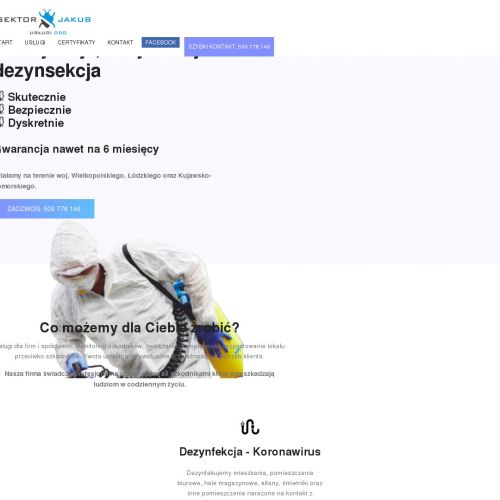 Kalisz - oprysk na mrówki