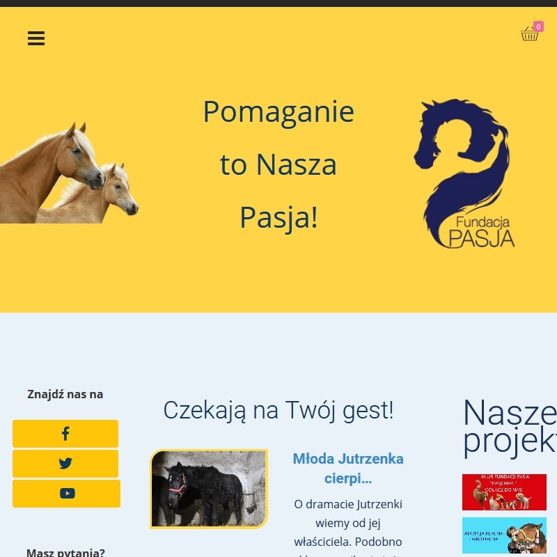 Wirtualna adopcja psa