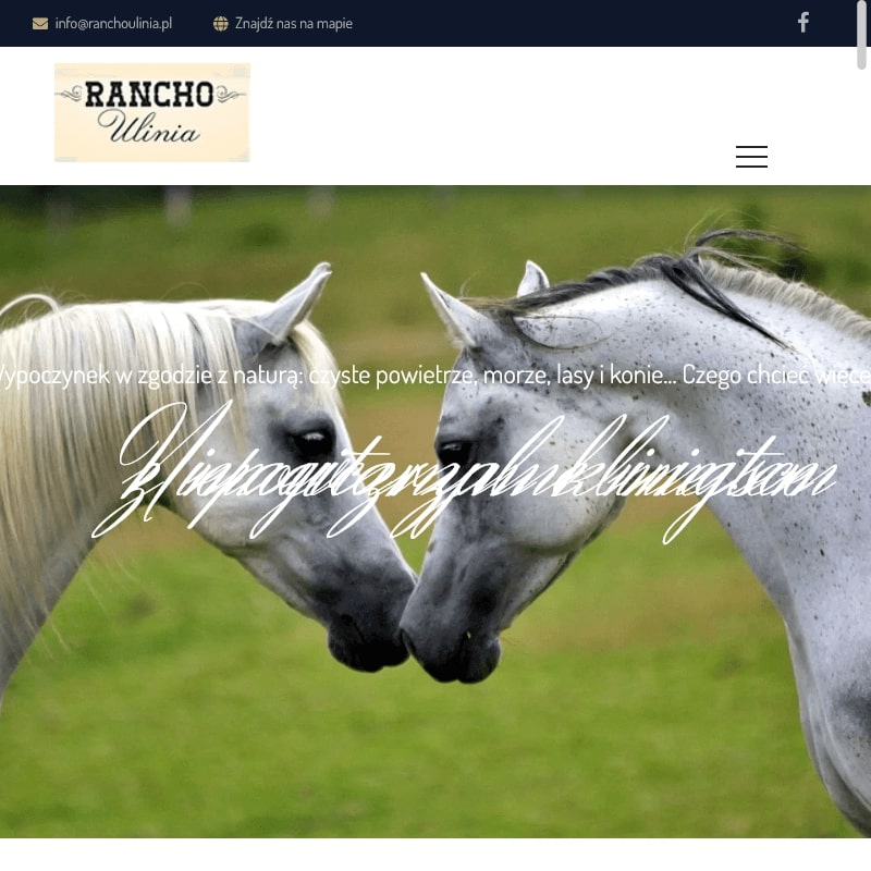 Agroturystyka konie dla dzieci - łeba