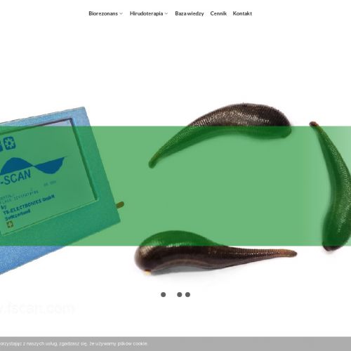 Leczenie pijawkami - Otwock