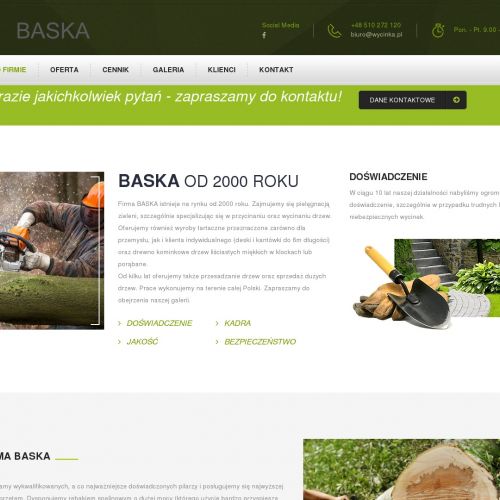 Pielęgnacja zieleni w Zabrzu