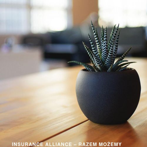 Licencja agenta ubezpieczeniowego - Gdańsk