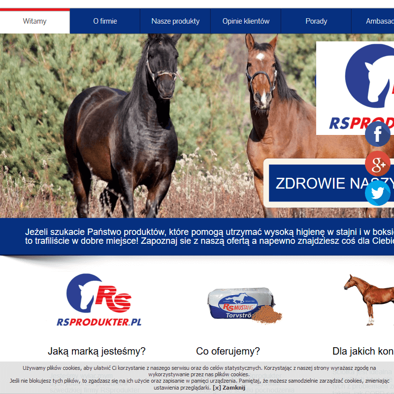 Antyalergiczna ściółka dla konia