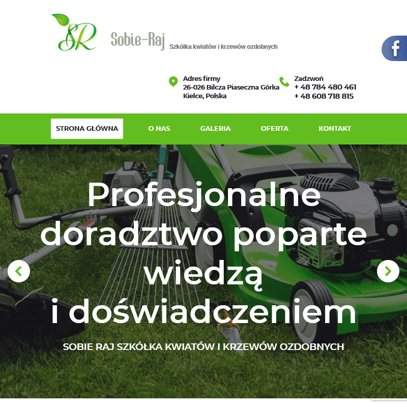 Krzewy ozdobne kwitnące